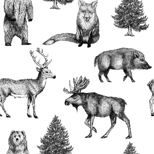 Superfresco Easy Stickers Et Papiers-peint Enfant Papier Peint Intissé Animaux Vinyle Blanc Noir 1005x52cm – Image 2