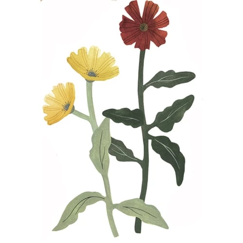 Lilipinso Stickers Et Papiers-peint Enfant Stickers Fleurs Des Champs En Vinyle Multicolore 29.7x42 Cm – Image 3